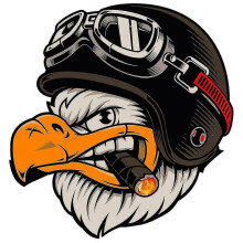 (hoog 20 CM-stijl A45690) Gepersonaliseerde sticker Motorstickers American Eagle Helm Exterieuronderdelen