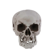 (750)Mini skelet spookhuis rekwisieten Halloween schedel schedels knutselen schedel miniatuur