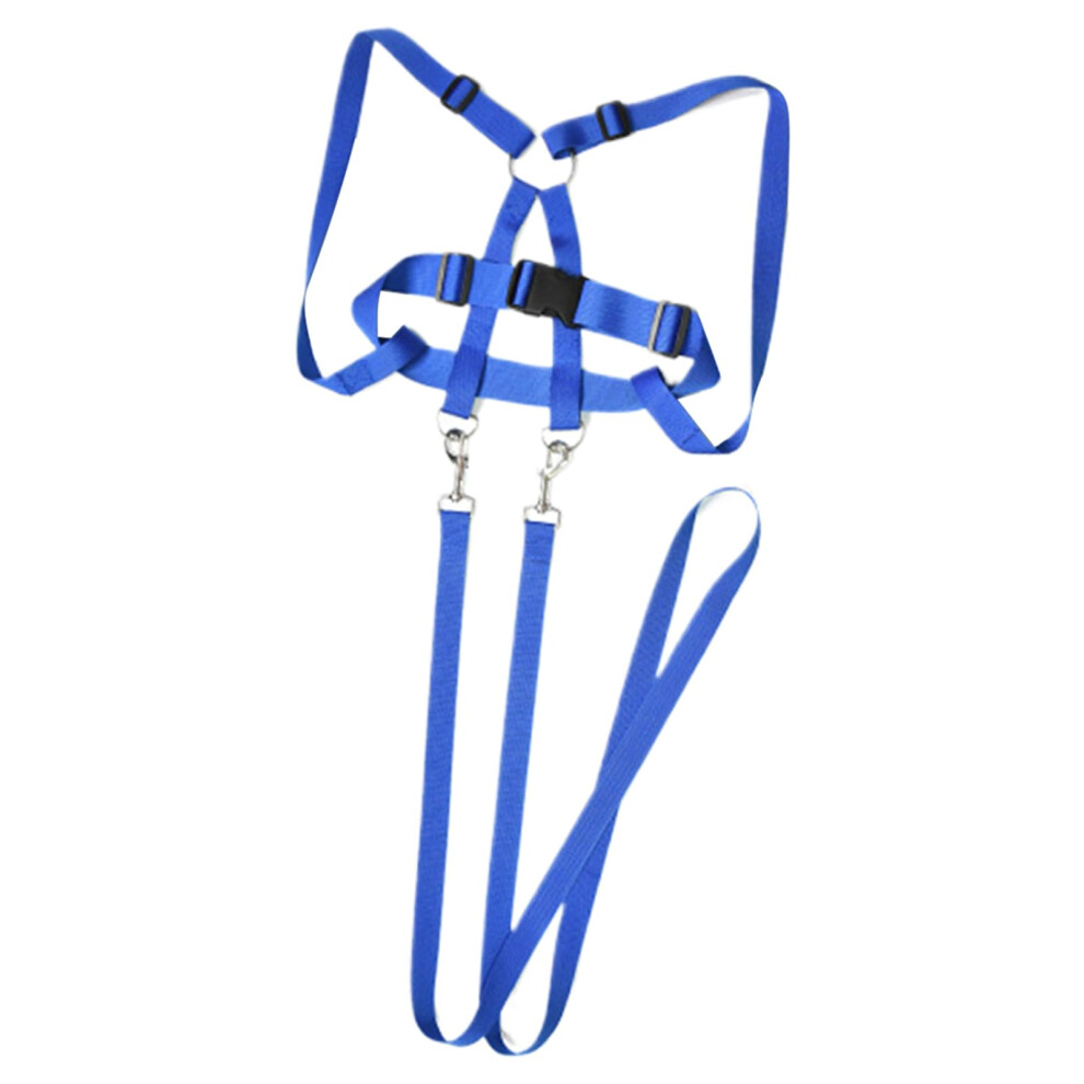 Horse Gear For Kids - Durable Riding Harness And Leash For Outdoor Activities And Role Play With Friends Blue
