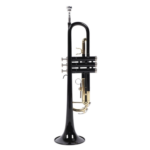 Trumpet Bb Brass Instrument Standard Set for 2