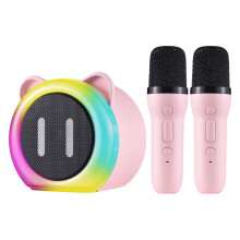 BT Karaoke 2 micros RGB, batterie de 1200 mAh, haut-parleur, 10,5 x 7,5 x 10 cm