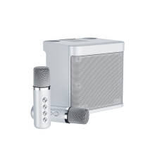 Portable Bluetooth PA System with Dual Wireless Microphones for Family Gatherings, Meetings, and Picnics