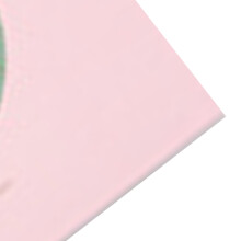 Selbstklebendes Fotoalbum Binder DIY Scrapbook-Alben Schreibbare Innenseiten Album Buch zur Gedenkfeier Rosa Vogel