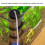 Durable Non-Toxic Plastic Shrimp Incubator: Simple and Practical Design 11
