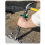 Chisels Concrete Tool Cements Stone Splitters Masonry Chisels 6inch 7
