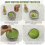 6 Pcs Matcha Whisk Set Elegant Matcha Set Japanese Tea Cup Set 5