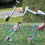 Bulb Planter Tool, Efficient Carbon Steel Planting Tool Set 4