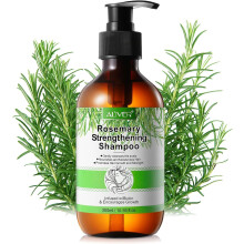 ALIVER Rosemary & Mint Biotin Shampoo Moisture, Strenthen and Thicken Hair, Anti Dandruff - 300ml