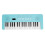37 Key Electronic Keyboard 200 Tones 200 Rhythms 3