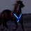 Horse Webbing Strap Collar Chest Armor with Adjustable LED Light for Safe Riding - Green Visibility Gear 2
