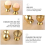 Egg Cups Set Stainless Steel Soft Tray Tool Holders Kitchen, Gold 6