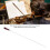 Music Conducting Baton Orchestra Concert 13