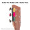 Guitar Pick Holder with Guitar Picks Adhesive Back 12