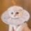 Comfortable Kitten Cone Collar, Soft Adjustable Cat Cone for Wound Protection, Lightweight Cat Licking Prevention Collar 2