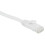 Cat6 Ethernet Cable 100 Ft (30 Meters) Flat Slim Long LAN Patch Cords 6