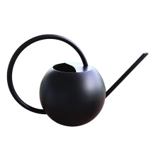 Arrosoir en acier inoxydable argenté, bec long, 1 pièce