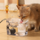 Automatic Circulation Flow Drinking Water Dispenser 1L Large Pet 5