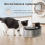 Για το Smartoo 152oz/4.5L Cat Water Fountain Τετραπλό Φιλτράρισμα, A 6