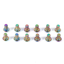 12pcs T25 Titanium Bike Torx Head Bolts Disc Brake