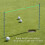 Outdoor Solid Fibreglass Rod Sports Golf Ball 3