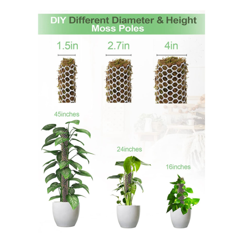 Κιτ πλέγματος από πλαστικά βρύα Monstera, αυτοποτιζόμενος πάσσαλος βρύου DIY 1