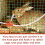 50 Stück Nippel Feeder Bunny Wassertrinker 6