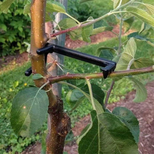 Branch Limb Spreader Branches Fixing Branches Trainers μαύρα μικρά 1