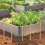 Estacas de plantas de eletrocultura Sondas de hastes de cobre para eletrocultura de 12 polegadas 5