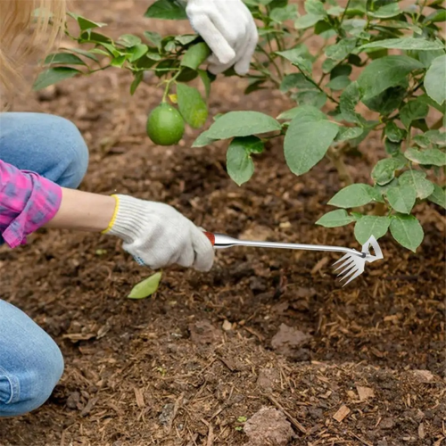 Εργαλείο χειροκίνητου βοτανίσματος 5 Teeths Hand Weeder Puller Rooting Weeder Tool 1