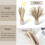 70 τμχ Φυσικό ντεκόρ Pampas Grass Decor, 17 ιντσών Dried Pampas Grass Decor 3