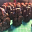 Luxury Travel Chess Set-Σακιέρα και Ρητίνες, Παιχνίδι στρατηγικής 2