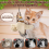 Interactive Chirping Bird Cat Toy Flapping Wings Bird 2