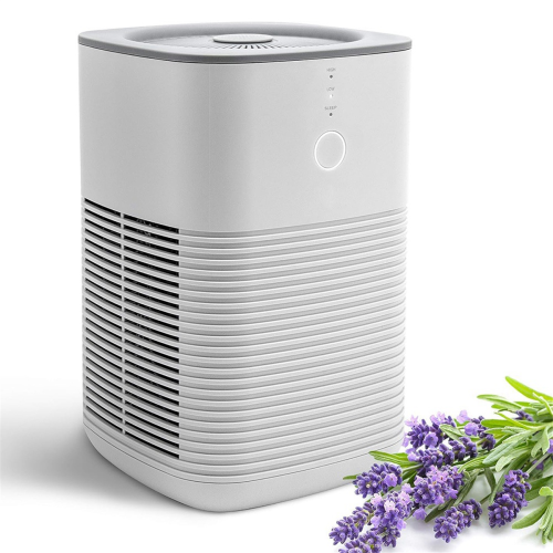 12PCS Aroma Pads for LEVOIT Air Purifier Core Mini 2