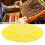 Beekeeping Beehive Door Exit Guard 8 Way Circular Disc Anti Escape Device 16