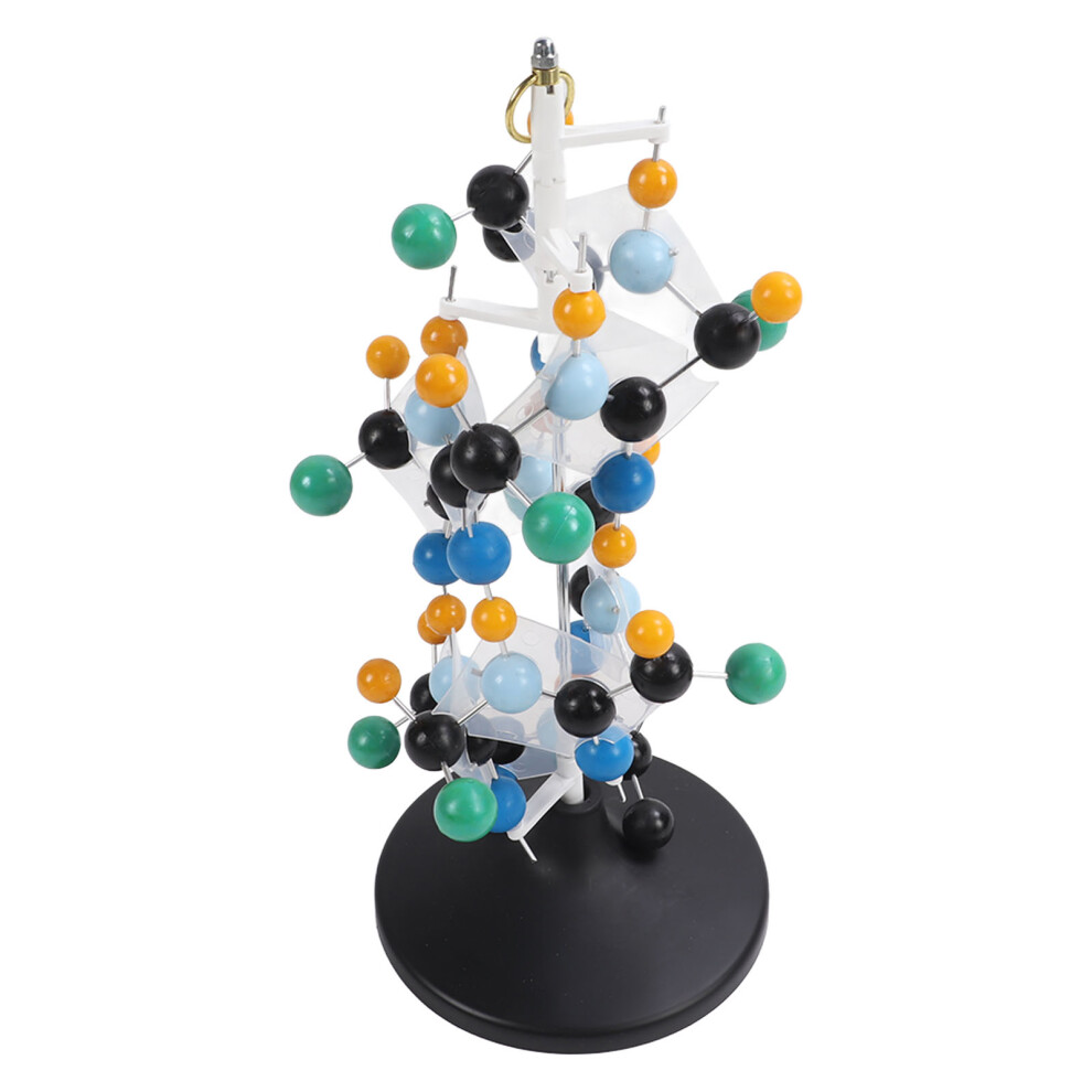 Protein Molecular Model Plastic QH3212‑2 Molecular