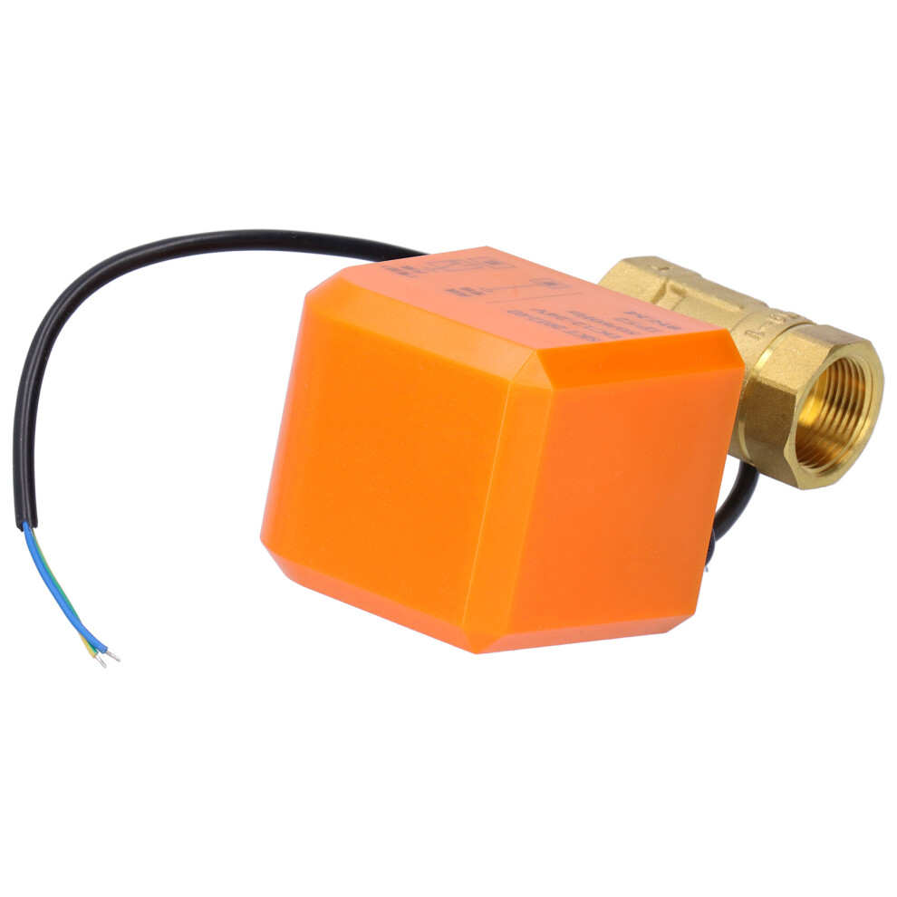 Professional Dn20 Electric Ball Valve Dc12/24V 2-Wire Brass 1.6Mpa 8411340781702