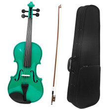 Violin Starter Set Green - Popular Solid Wood Violin for Adults 4/4 Size with Accessories for Beginners