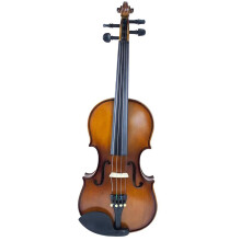 Violin Starter Set 4/4 Size Professional Beginner Violin Natural Spruce Wood with Maple Back and Case