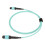 MPO-zu-MPO Patchkabel 8F OM3 1 m Aqua LSZH 2