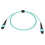 MPO-zu-MPO Patchkabel 8F OM3 1 m Aqua LSZH 12