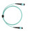 MPO-zu-MPO Patchkabel 8F OM3 1 m Aqua LSZH 14