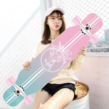 Skateboard Pro 42 Inch Complete Skateboard Green Color Durable Deck with High-Performance Wheels and Grip Tape