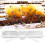 20pcs Plastic Small Hives Beetle Trap Broodlings Collector Beekeeping Tool 5