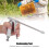 Stainless Steel Beekeeping Sprayer 14x8.5cm Bee Medicine Tool 4