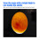 Egg Incubator Tester - 9 Light Candling Lamp for Egg Hatching Blue 7