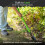 Telescopic Long Handle Gardening Trowel Hand Tool 6