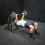 GYM MASTER Flat Weight Lifting Bench Press Home Dumbbell/Barbell 5