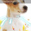 Non-Toxic Adjustable Pet Collar with Long-Lasting Flea Prevention 11