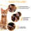 Non-Toxic Adjustable Pet Collar with Long-Lasting Flea Prevention 9