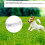 Non-Toxic Adjustable Pet Collar with Long-Lasting Flea Prevention 10